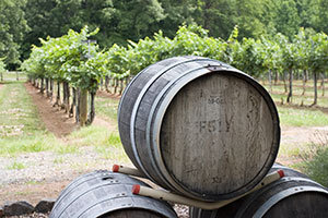 Escape NYC and Visit these 5 Amazing Hudson Valley Wineries
