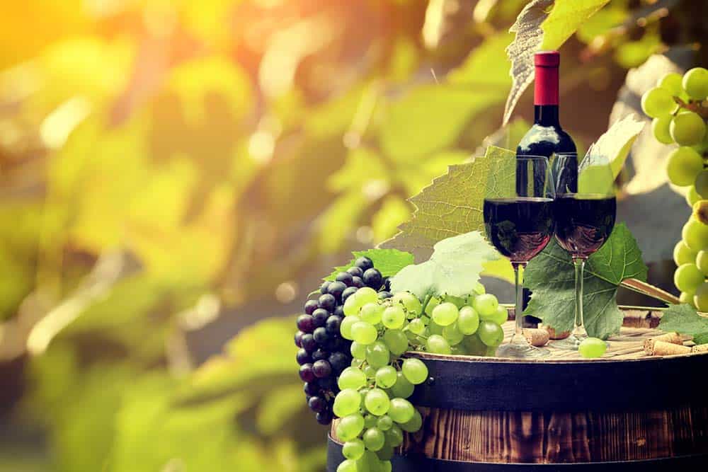 Top NY Summer Winery Tours