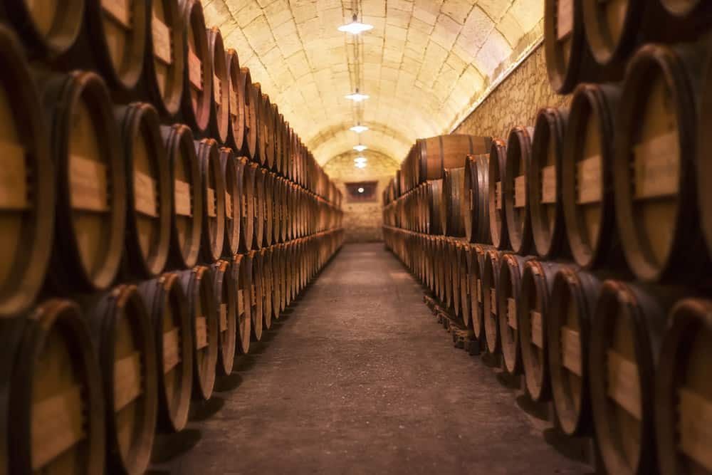 5 Tips for a Perfect Wine Tour