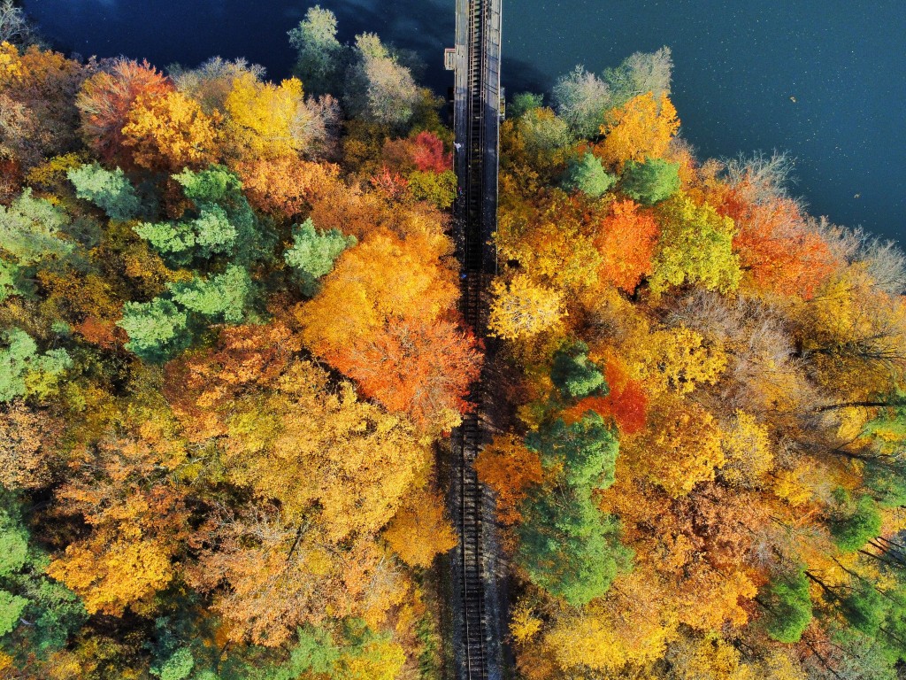Luxury Leaf Peeping: The Best Fall Foliage Spots by Private Car Service