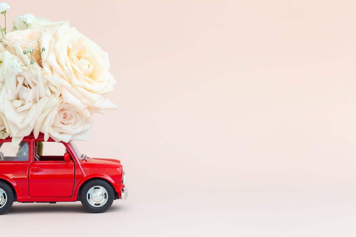 A Day Full of Surprises — The Mother’s Day She Never Saw Coming