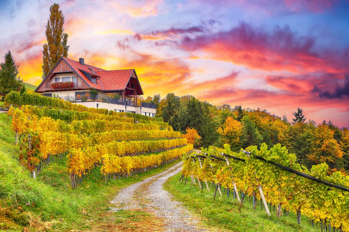 Weekend Trips from NYC: Small Towns, Wineries, and Scenic Escapes